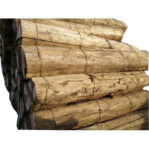 Burma Teak Wood Logs