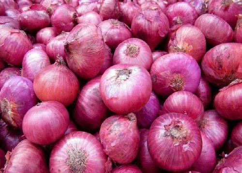 Indian Fresh Red Big Onion