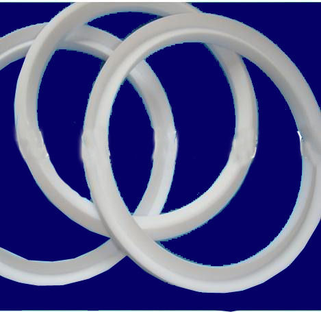 White Ptfe U Seal