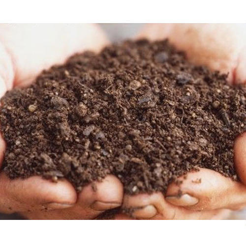 Top Grade Bio Fertilizer