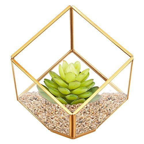 Gold Designer Terrariums