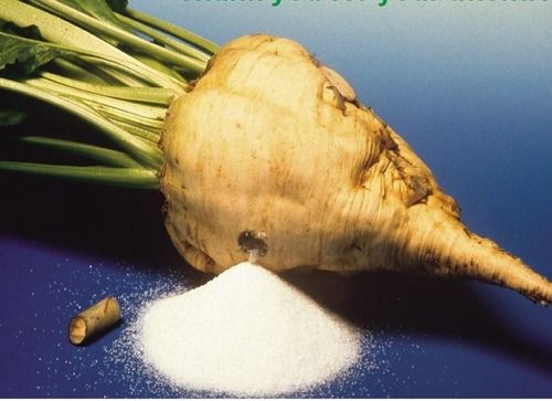 High Grade Beet Sugar