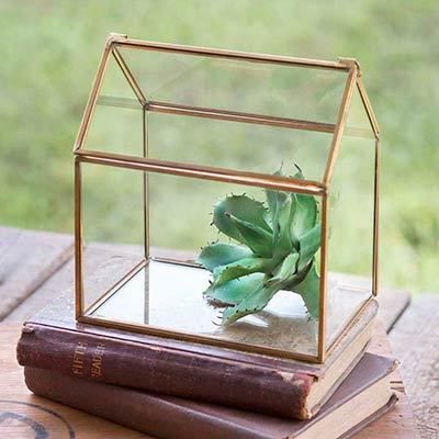 Brass Hut Plant Terrariums