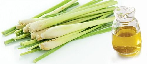 Lemon Grass Essential Oil Shelf Life: 1 Years