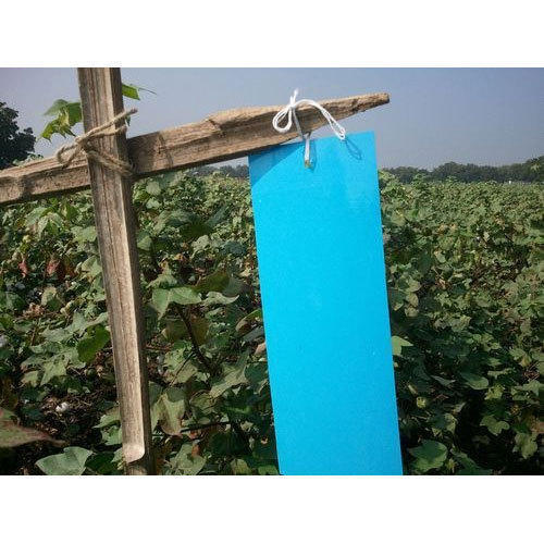 Plastic Blue Sticky Insect Trap