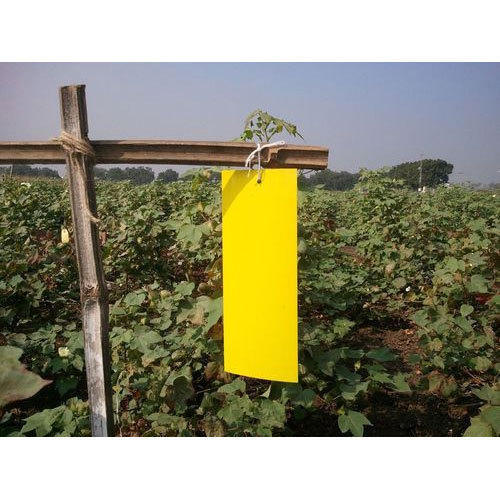 PVC Yellow Sticky Insect Trap