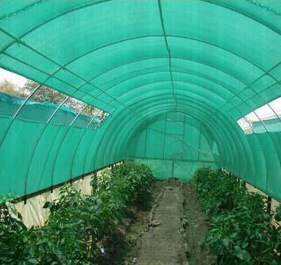 Agricultural Multi-Span Greenhouse Reliable Agro Shade Net