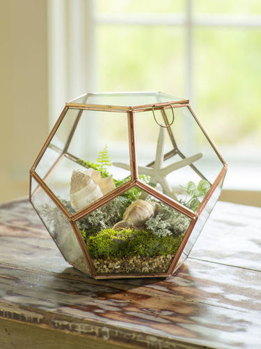 Glass Terrariums