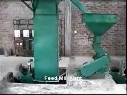Fine Quality Cattle Feed Plants 
