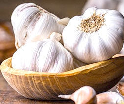 Organic White Garlic