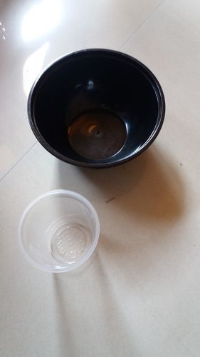 Pla & Pp Cups & Container