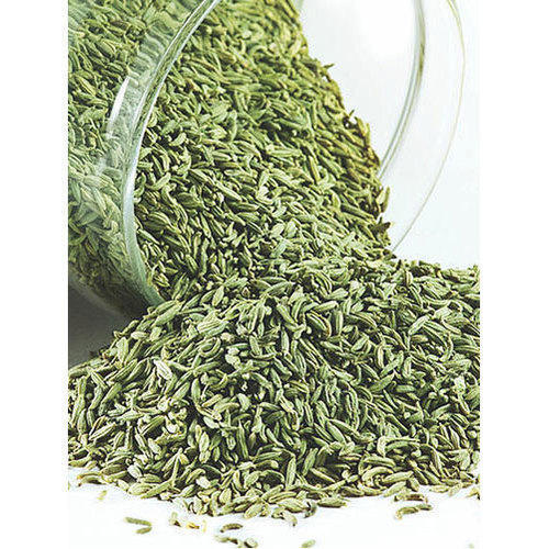 Best Quality Fennel Seed