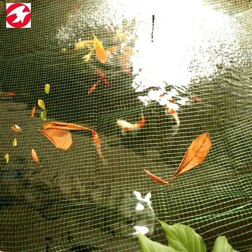 Black Pp Plastic Pond Cover Fish Netting To Protect Your Pond at Best Price  in Shaoxing