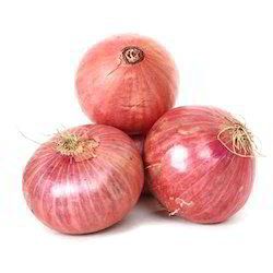 Long Shelf Life Organic Onion