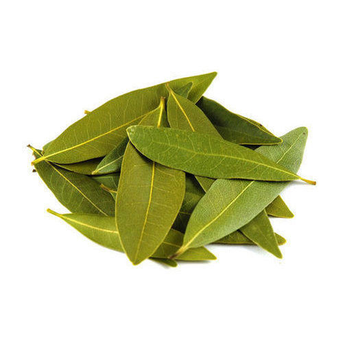 Natural Green Bay Leaf