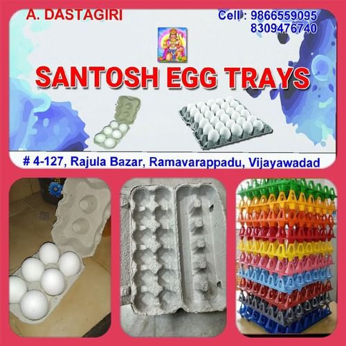 Paper Pulp And Plastic Egg Trays