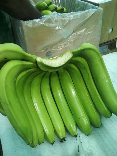 Natural Fresh Green Banana