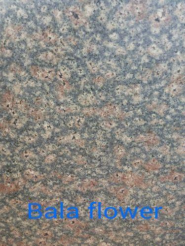 Resistant Corrosion Bala Flower Granite