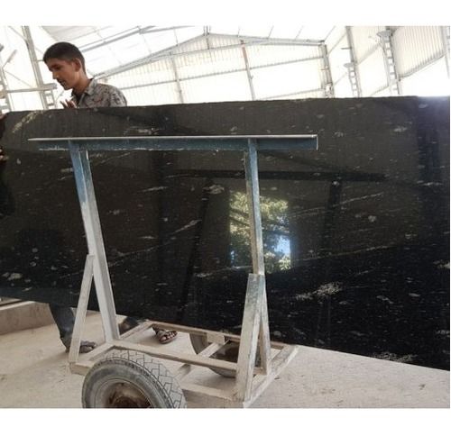 Fish Black Granite Slab