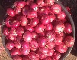 Organic Fresh Red Onion