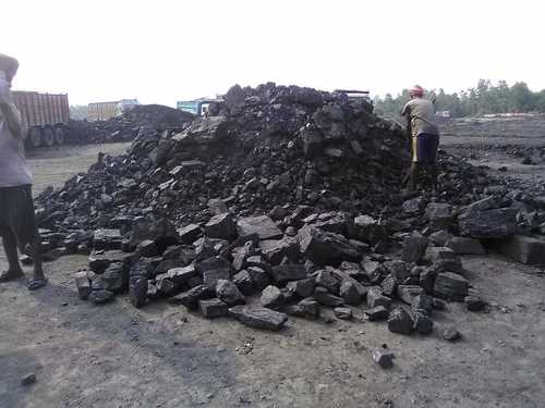 Hard Steam Coal