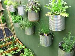 Vertical Terrace Gardening Service