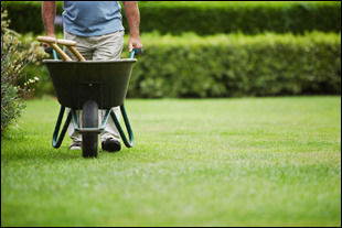 Commercial Gardeners Services