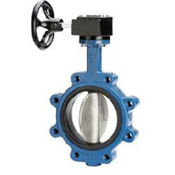 Soft Seated Lug Type Butterfly Valve