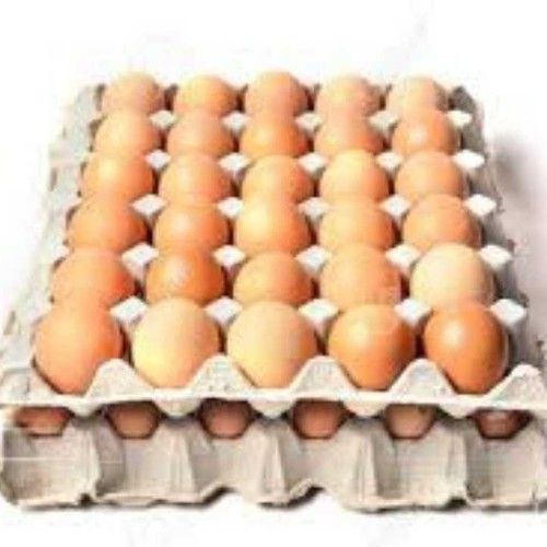 Best Quality Egg Tray