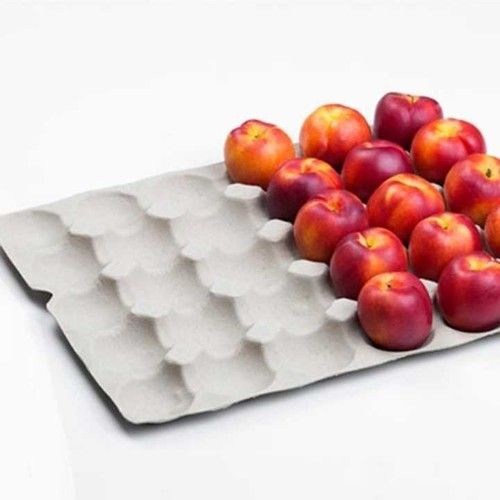 Pulp Moulded Apple Tray