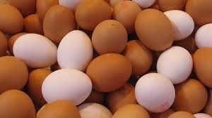 ताजा टेबल चिकन अंडे