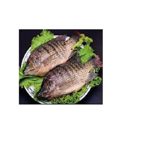 Low Price Tilapia Fish