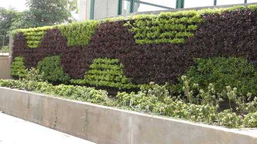 Vertical Garden Natural Walls Capacity: Customized Kg/Hr