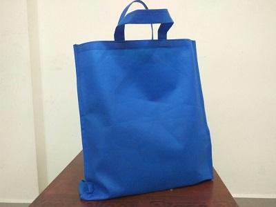 Best Non Woven Carry Bags