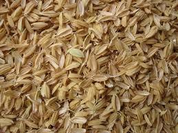 Best Quality Rice Husk