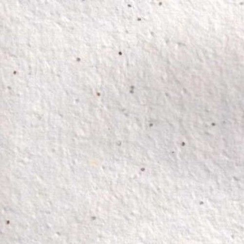 Flower Seed Germination Paper