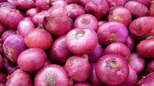 Natural and Fresh Red Onion