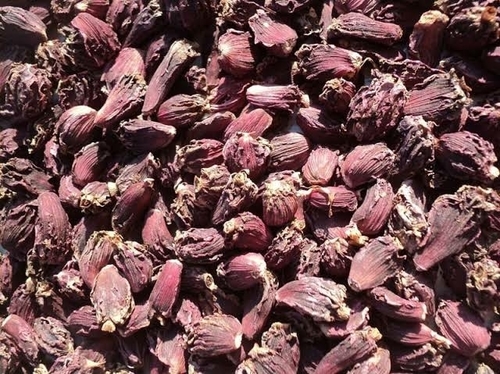 बड़ी और छोटी इलायची