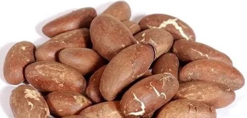 Brown Pure Bitter Kola Nut