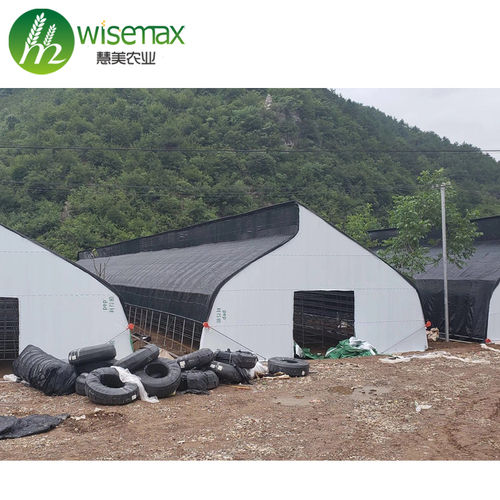 Agricultural Polythene Film Covered Mushroom Greenhouse