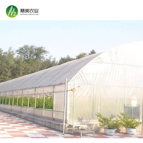 Single Span Plastic Geodesic Dome Greenhouse For Vegetable