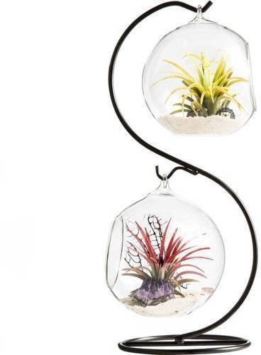 Terrarium Decorative Home Planter