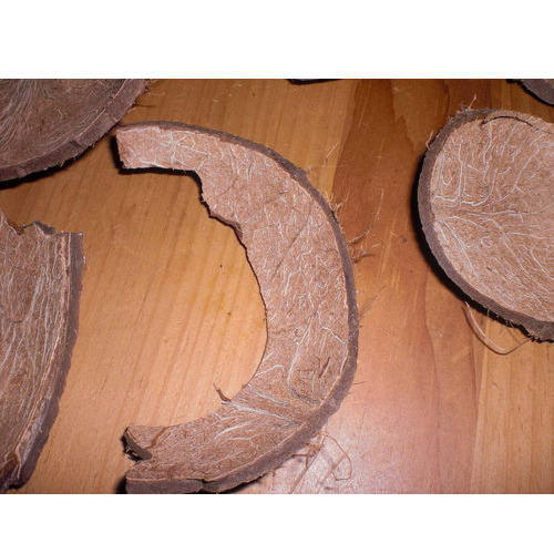 Finest Coconut Shell Pieces