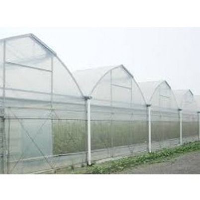 Poly House Insect Net
