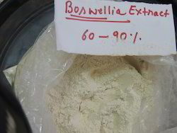 Boswellia Extract Powder