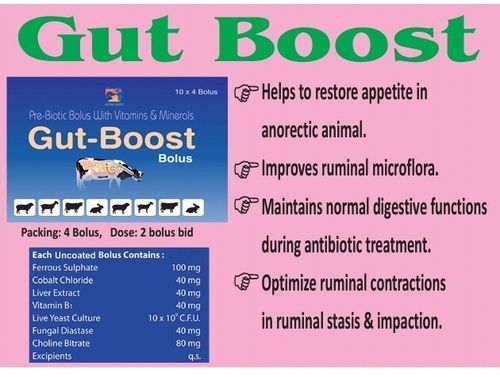 Gut Boost Animal Feed Supplement