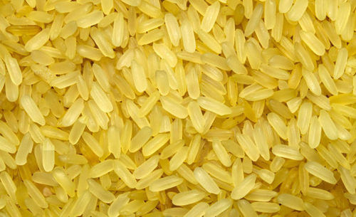 1121 गोल्डन सेला बासमती चावल