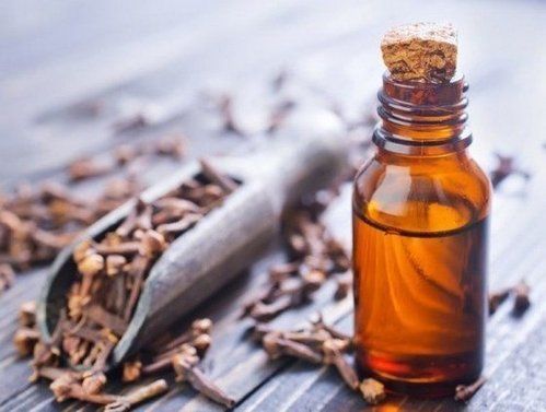 Clove Bud Essential Oil