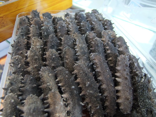 Oscar fish price in kolkata