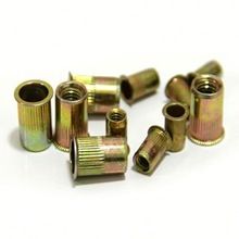 Custom Design Automobile Rivet Nut